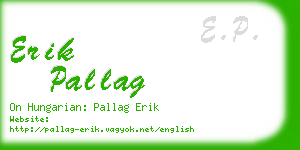 erik pallag business card